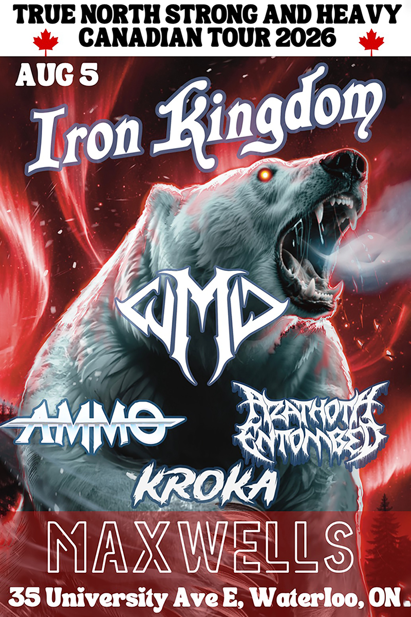 IRON KINGDOM + W.M.D TRUE NORTH STRONG AND HEAVY